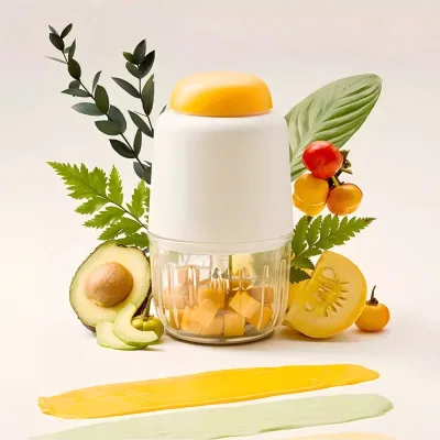 Baby Food Processor Mini Multifunctional Glass 200W Home Electric Puree Mixing Blender
