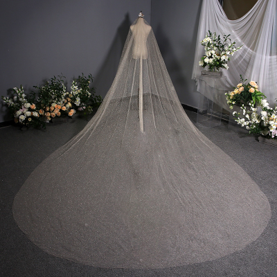 Bride Wedding Veil Wholesale Gold Trimmed Bridal Bridal Wedding Accessories Wedding Veil
