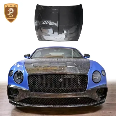 Auto Accessory Msy Style Carbon Fiber Engine Cover Hood Bonnet for Bentley Continental GT