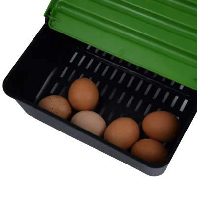 Premium Quality Egg Collection Tray - Sturdy and Relable