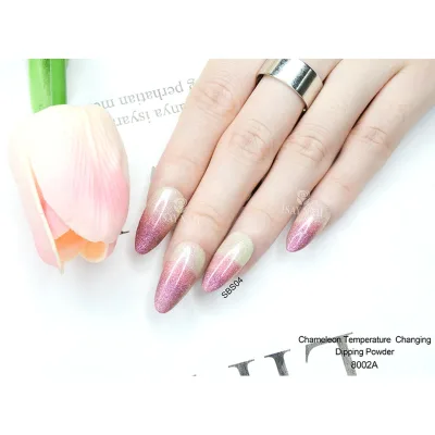 High Quality Fast Drying Acrylic Nail Art Dip Powder Wholesale Supplies for Nail Salons