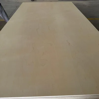 FSC Baltic Birch Plywood 4mm 6mm 12mm 18mm Multi Layer Laser Cutting CNC Furniture Joinery European Grade Supplier