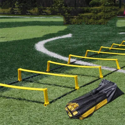 Factory Wholesale Mianda MD309 Trapezoidal Agility Rings for Soccer Training-Durable PP Plastic with Customized Color & Logo