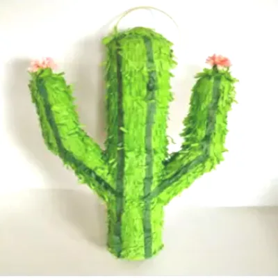 Cactus Pinata Donkey Rainbow Donkey Pinata Rainbow Football Pinata