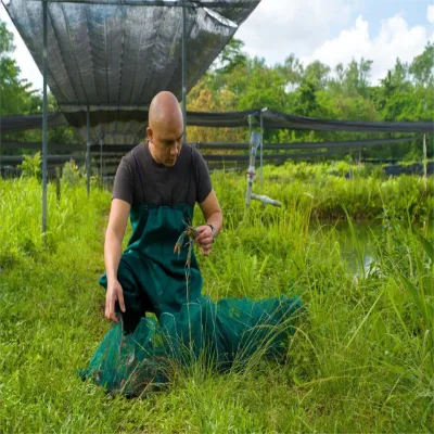 Piciculture Shrimp Fish Farming Long Train Folding Nylon Crab Trap for Aquatic Organism Harvesting