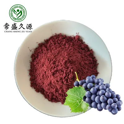 High Quality Dried Organic Red Concentrate Grape Juice Powder Vacuum Packed 100% Fruit Extract Food Grade Bottle Support OEM