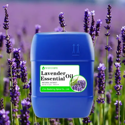 Natural Lavender Flower Petal Essential Oil for Skincare and Body Massage Fresh Odor OEM Supply GMP Certified