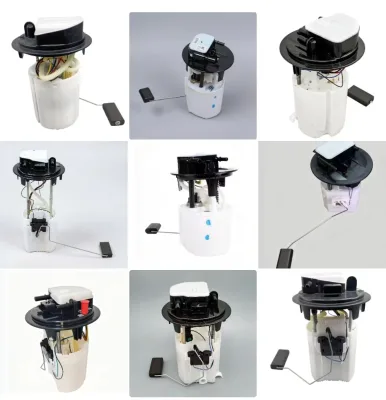 Fuel Pump Assembly 9830959180 9823464880 9807056380 9811298780 9824049680 9811336680 9804068280 28551227 28637316 for French Car