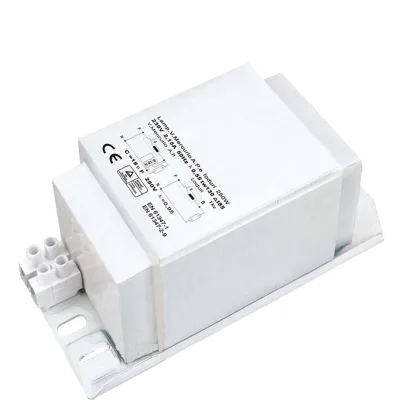 250w 400w 1000w 2000w Magnetic Ballast for HID CWA MH Light and HPS Lamp