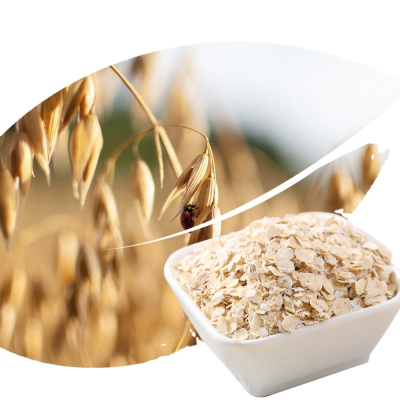 Original Natural Flavored Dried Oatmeal Unprocessed with Unique Taste