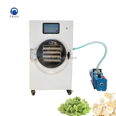 Small Size Home Food Mini Vacuum Lyophilizer Freeze Dryer Coconut Chips Kiwi Lime