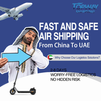 Clearance Cost Sea Shipping Air Transportation Fee Freight Forwarder for Trucking Shipping Agent