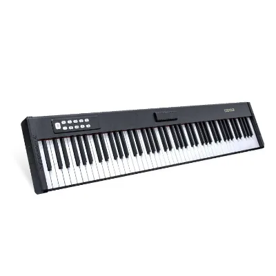 Hot Selling Musical Instrument Digital Electronic Organ Piano 88 Key Folding Piano Keyboard MIDI USB Interface Piano bag set
