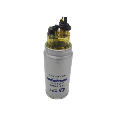 Economic New Jac Truck Fuel Filter for Weichai Engine Model 612600082029 1000422381A 1201-000 W0006-Z3 612600081335 1105-00147