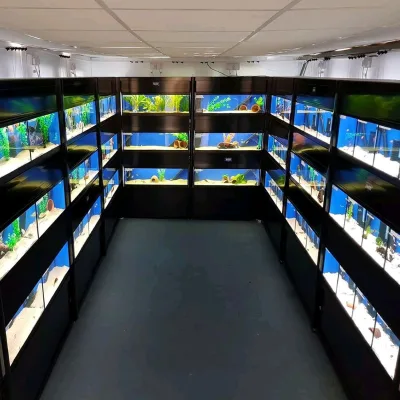 High Grade Fish Tank Rack Divided 1.2m Aquarium Rack System Low Iron Glass Aquariums Rack for Shop