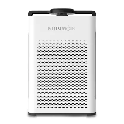 Air Purifier Home Purifier Room Smart Portable Largre Ionizer for New House Formaldehyde Removal After Renovation of New House