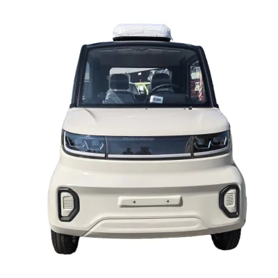 Drive Without License Disc Brake Left Steering Drive 2 Seats Electric Mini Car with 3000w Motor 40HQ Container Hold 9 Units