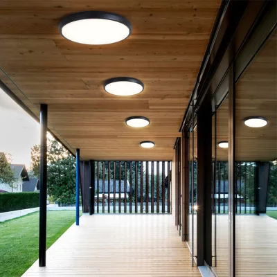 Ceiling Mounted Outdoor Ceiling LED Light 20w IP65 Waterproof Aluminium Bulkhead Light Outdoor LED Ceiling Light
