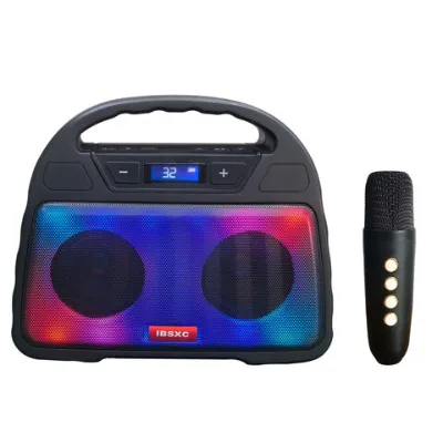 Bluetooth Karaoke Speaker with Handy, USB TF Card Playing, USB Rechargeable Radio, Double Speaker, Colorful Light Portable Speaker