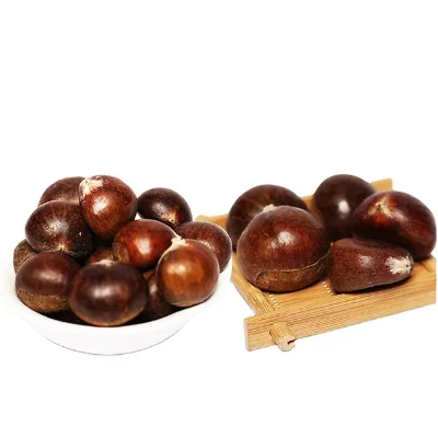 Organic Fresh Chestnuts Castanea Sativa Whole Chestnut for Sale