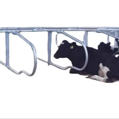 Customized Quality UV-Resistant Slash Bull Neck Fence Coating Model Bull Slash Pillory Cow Bed