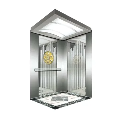 High Quality Durable Stainless Steel AC Modern Villa Hotel Elevator Guide Rail Passenger