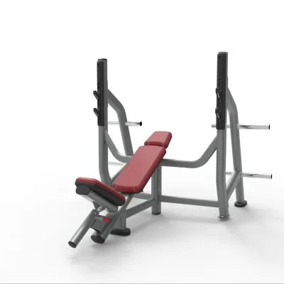New Arrival Gym Equipment Weight Lifting Chest Muscle Sit up Barbell Abs Adjustable Incline Multifunction Bench for Workout