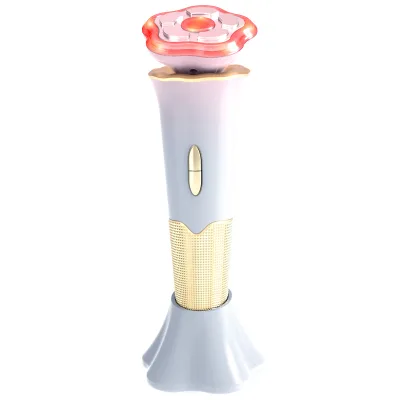 Professional Facial Messagers Best Rf Skin Tightening Face Lifting Small Machine