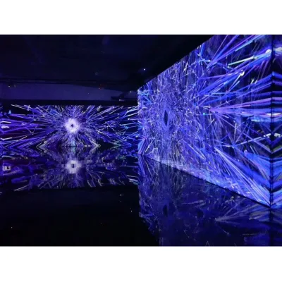SMX SM-M 3.1x2 Meters Newest Mesh Holographic Screen for Projection Hologauze Portable with 180 View Angle