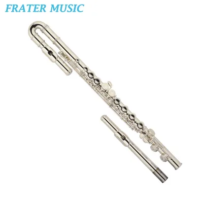 Curved Head Joint 16 Holes Metal C Key Flute With E Mechanism and Silver Plated Keys (JFL-210SE)