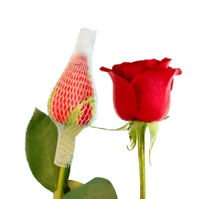 Oem Factory Direct Price Flower protection Wholesale Flowers Rose Bud protection Net