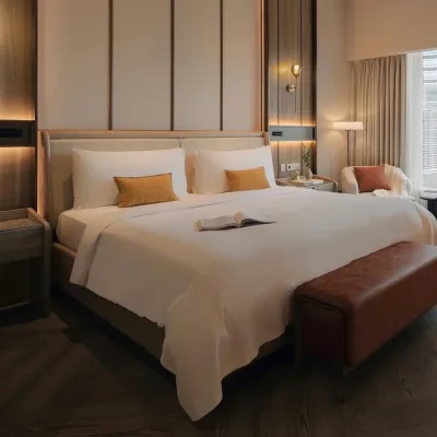 Soft and Smooth 350 Thread Count Cotton Hotel Bedding Set New Design with Washable Stitched Solid Pattern