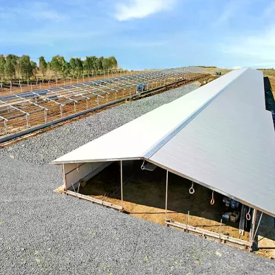High Quality Steel Structure Breeding Shed Automatic Feeder Type Poultry Farm Shed Cow Cowshed House Design