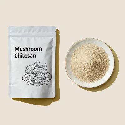 Dried Vegan Non-GMO Mushroom Chitosan Powder High Quality Fungal Chitosan Low Price for Health