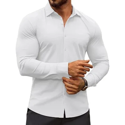 Stretch Anti-wrinkle Men's Long-sleeve Shirt for Spring Autumn Commuting Men's Style Wholesale