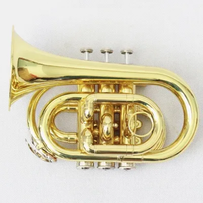 Handmade Trumpet High Quality Trumpet Instrument Gold Lacquered Pocket Trumpet
