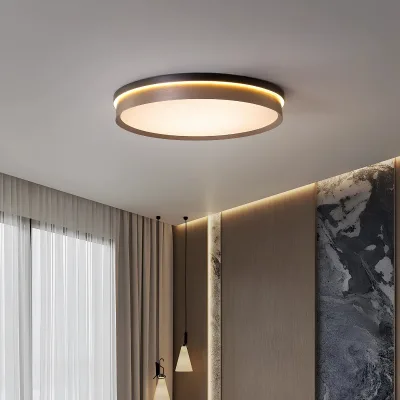 Modern Simple Gray Brushed High-end Aluminum LED High CRI 90 Master Bedroom Background Light Study Living Room Ceiling Lamp