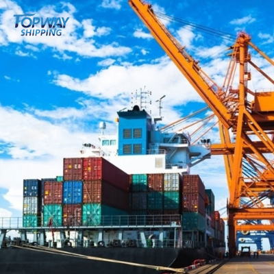 Supplier Shipments Warehouse Forwarder Distributor Specializing Us/Canada/Europe/Australia Customer Belgium Online Bulk Buying
