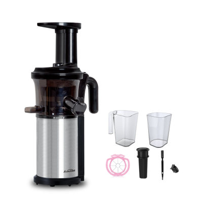 Popular Home Use Portable Fruit Blender Slow Juicer
