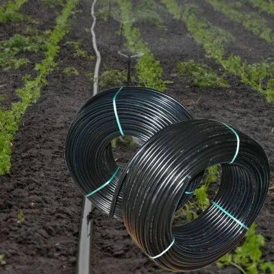 Cheap Price 500M/Roll Fexlie Hose Tape Pipe High Quality 16 Diameter Pe Drip Pipe Irrigation for Water Drip Saving System