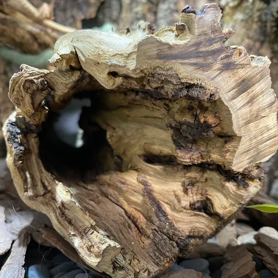 Natural Pomegranate Wood Hollow Tree Hole Shelter Reptiles Landscaping Folding Dogs Cats Crawlers Animal Dead Wood Decorative