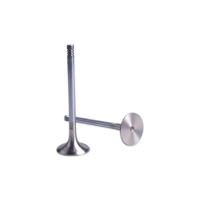 420855148 Jet Ski Engine Exhaust Valve 25mm for Seadoo Sea Doo GTI GTS 90 2018 SPARK 900 TRIXX Trixx 2020 Brp Maverick X3 900