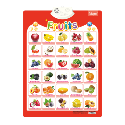 Wholesale Children Educational Toy Music OEM Style Feature Toy Other Toys to Learn English