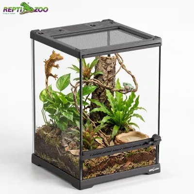 ReptiZoo OEM Mini Glass Terrarium Front Opening 8x8x12 Nano Vivarium Vertical Jumping Spider Micro Gecko 3.5 Gal Eco-Friendly