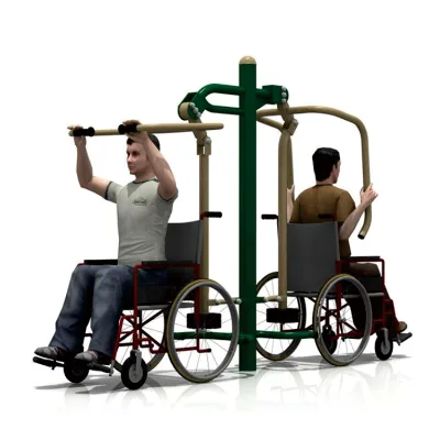 Seatedchestpressandseatedrowingtrainerforthedisabled Without Wheelchair, Outdoor Fitness Equipment for the Disabled's Exercise