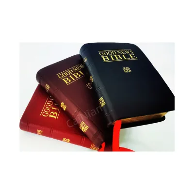 Leather Cover Good News Bible Wholesales Bible Three Colors English Bible