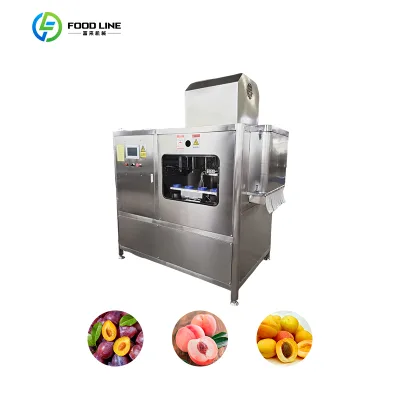 Multifunctional Small Fruit Pitting Coring Machine Fast Speed Cherry Stone Removing Machine