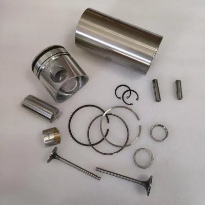 4BT Engine Overhaul Kit With Full Gasket Kit Complete Rebuild Kit for  3.9 Engine Piston Ring Liner Bearing and Valves
