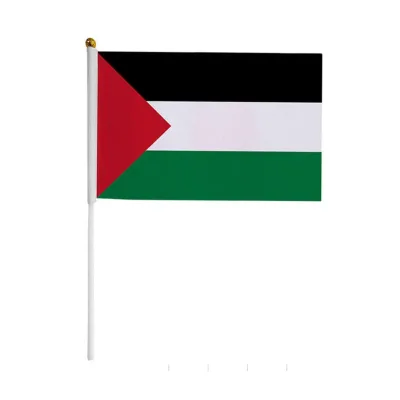 Wholesale Multi Size Custom Design Polyester All Countries Palestine Palestinian American Hand Flag