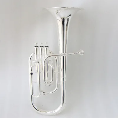 Professional Factory Price Alto Horn Chinese Alto Horn Silver Plated Silver Alto Horn